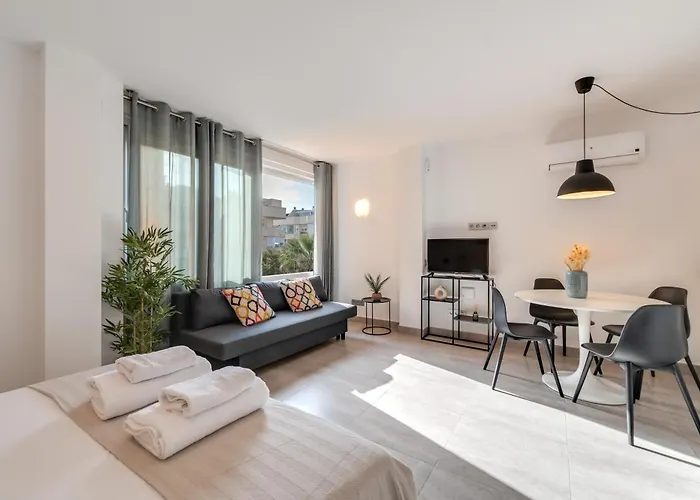 Impresionante Loft En Pleno Centro De Marbella