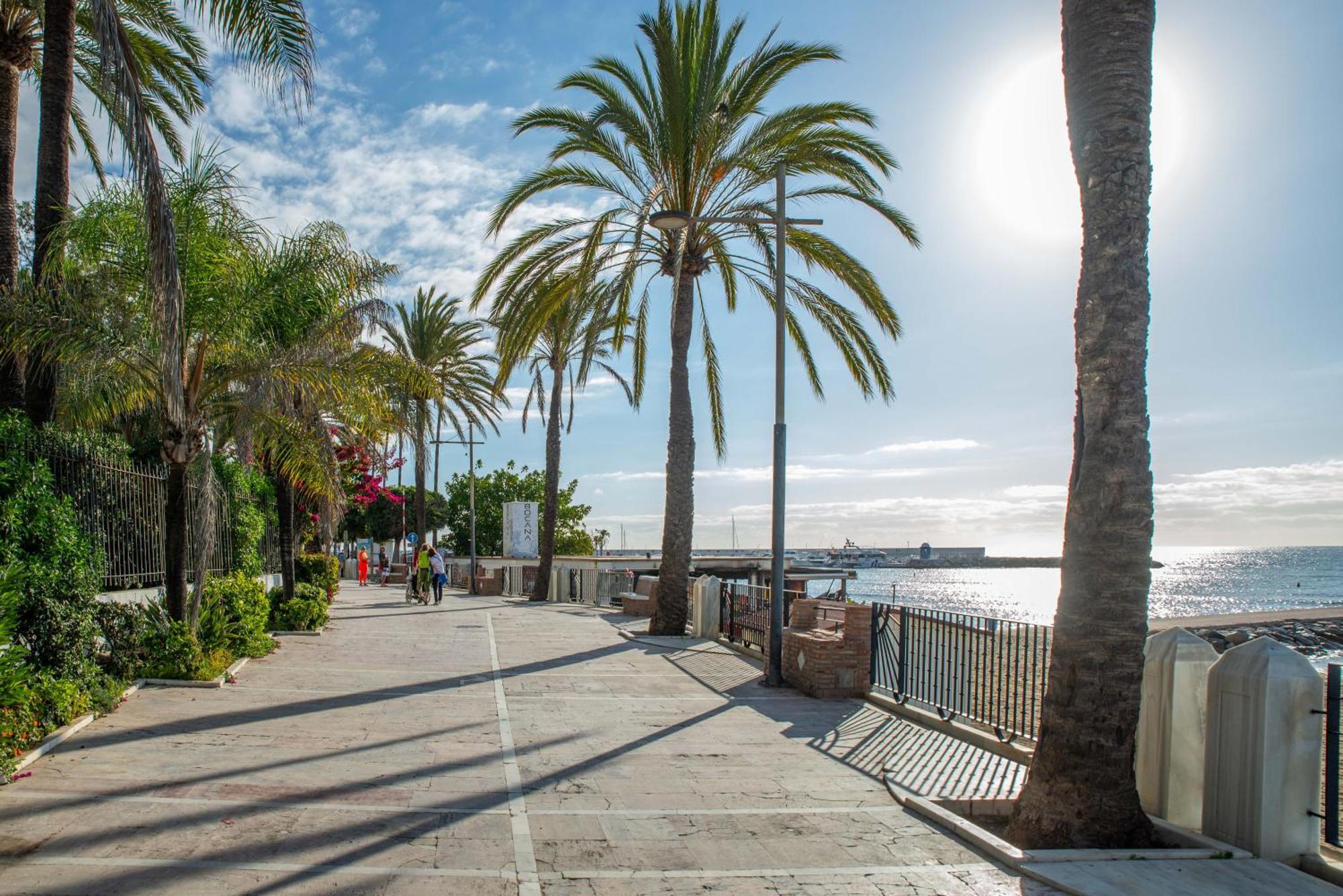Impresionante Loft En Pleno Centro De Apartamento Marbella